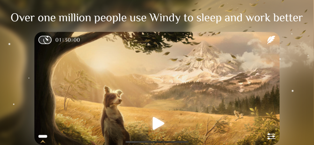 Windy White Noise Sleep Sound‪s - 放松白噪音[iOS][￥12→0]