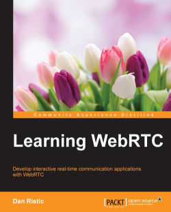 免费获取电子书 Learning WebRTC[$23.99→0]