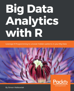 免费获取电子书 Big Data Analytics with R[$43.99→0]