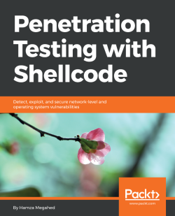 免费获取电子书 Penetration Testing with Shellcode[$31.99→0]