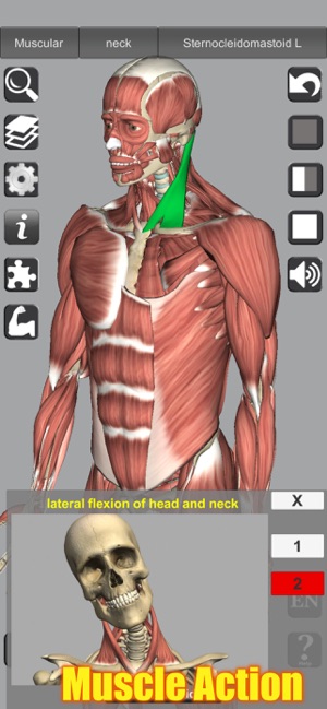 3D Anatomy – 3D 人体解剖图[iOS、macOS][￥18→0]