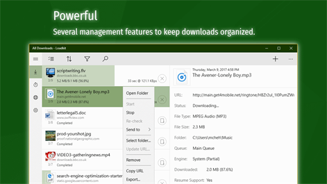 Loadkit Download Manager - 文件下载工具[Windows 10][￥62→0]