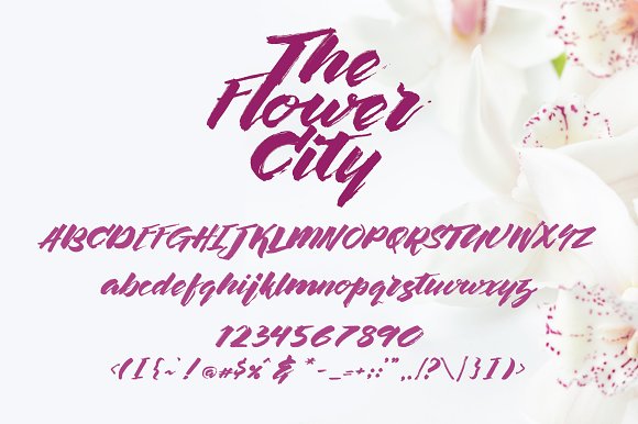 限免字体 The Flower City[macOS、Windows]