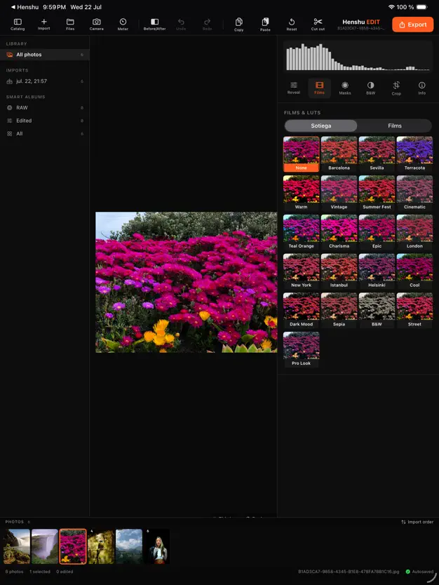 Henshu Edit - RAW 修图工具[macOS、iPad][¥228→0]