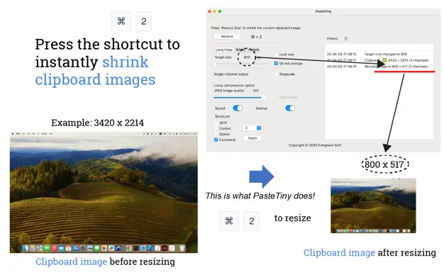 PasteTiny - 快速将粘贴板的图片缩小[macOS][￥28→0]-反斗限免