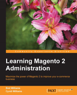 免费获取电子书 Learning Magento 2 Administration