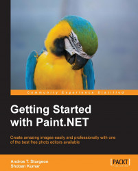 免费获取电子书 Getting Started with Paint.NET[$19.99→0]