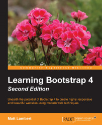 免费获取电子书 Learning Bootstrap 4 - Second Edition[$35.99→0]