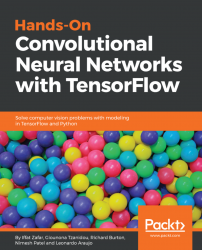 免费获取电子书 Hands-On Convolutional Neural Networks with TensorFlow[$21.99→0]