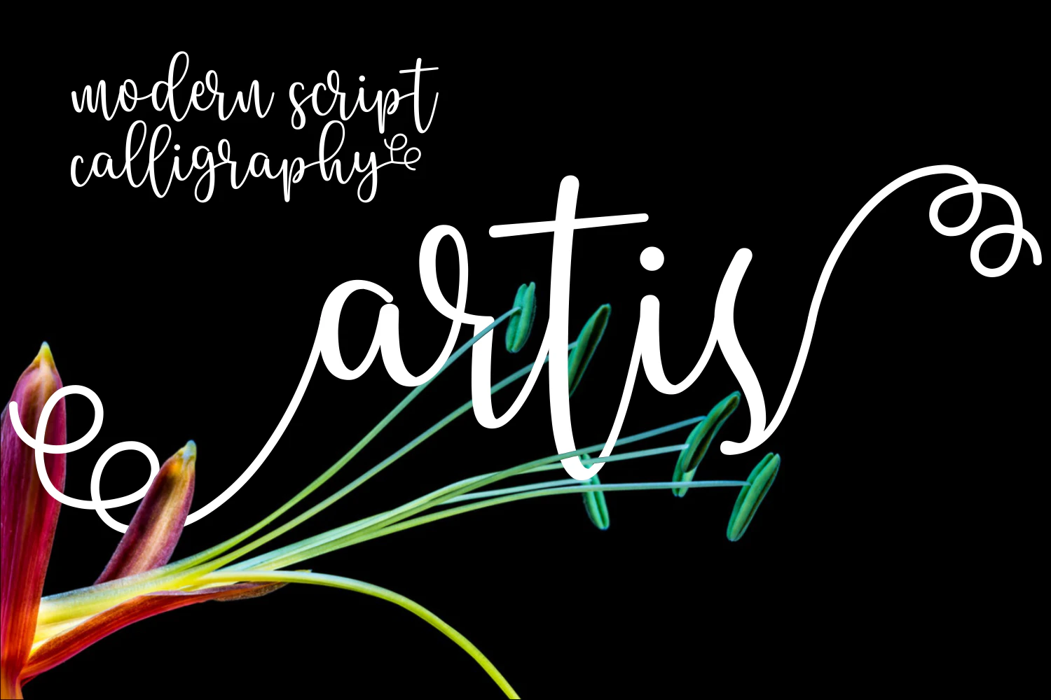 限时免费获取字体 Artis[Windows、macOS][$15→0]