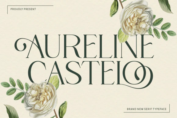 限时免费获取字体 Aureline Castelo - Elegant Serif[Windows、macOS]