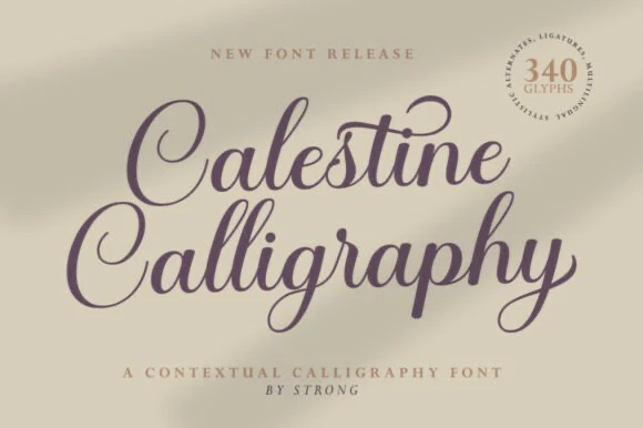 限时免费获取字体 Calestine Calligraphy Font[Windows、macOS]-反斗限免