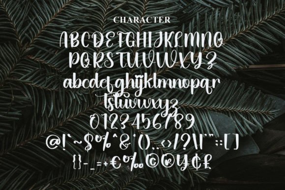 免费获取字体 Christmas Font[Windows、macOS]