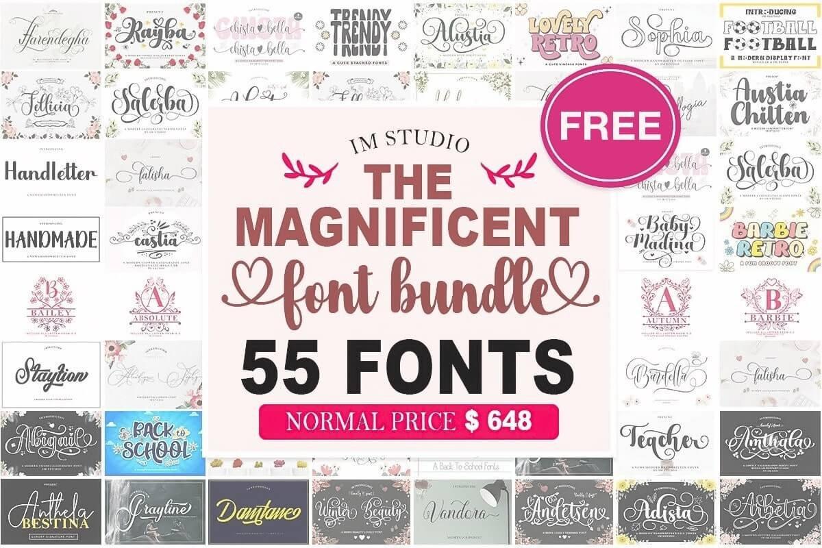 免费获取字体包 The Magnificent Font Bundle[Windows、macOS][$648→0]