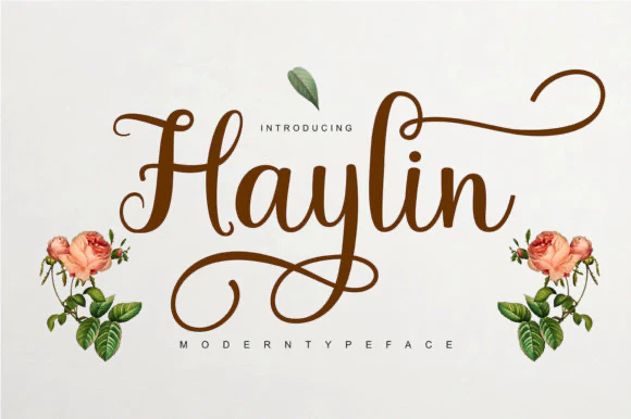 限时免费获取字体 Haylin Script Font[Windows、macOS]