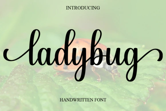 限时免费获取字体 Ladybug[Windows、macOS][$14→0]