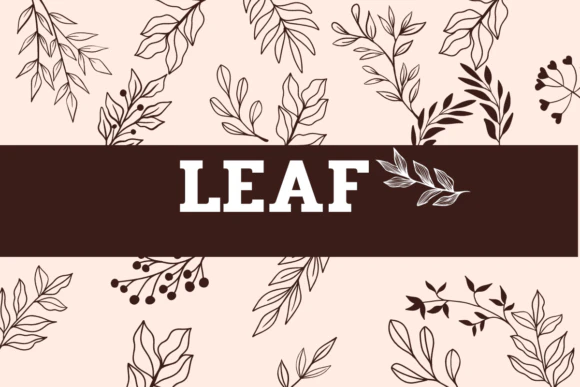 限时免费获取字体 Leaf[Windows、macOS][$40→0]