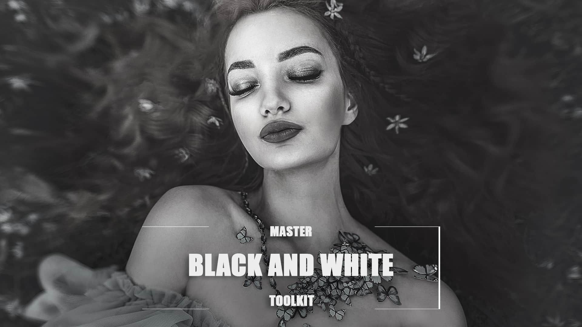 Black and White Master Toolkit - 照片黑白处理工具[Windows、macOS]-反斗限免