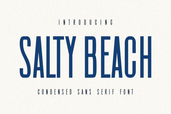 限时免费获取字体 Salty Beach[Windows、macOS][$12→0]-反斗限免