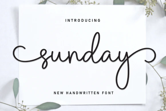 限时免费获取字体 Sunday[Windows、macOS][$12→0]