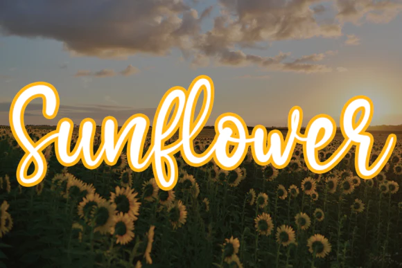限时免费获取字体 Sunflower[Windows、macOS][$10→0]