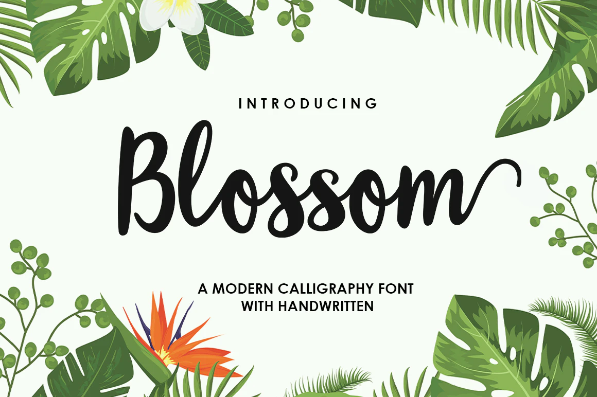 限时免费获取字体 Blossom Script Font[Windows、macOS]