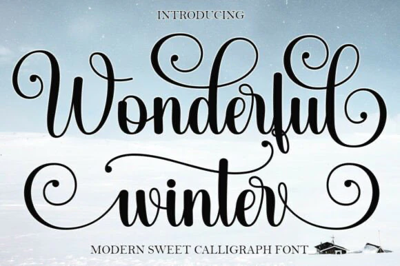 限时免费获取字体 Wonderful Winter Font[Windows、macOS]-反斗限免