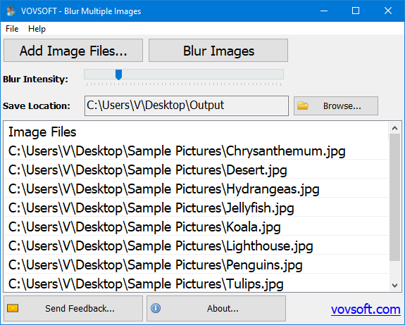 Blur Multiple Images - 多张图片模糊工具[Windows][$19→0]